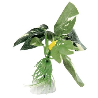 Растение шелковое Anubias 10,2см /69089000 Ферпласт