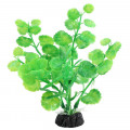 Растение Щитолистник зеленый 100мм пластик (пакет) Laguna 74044115