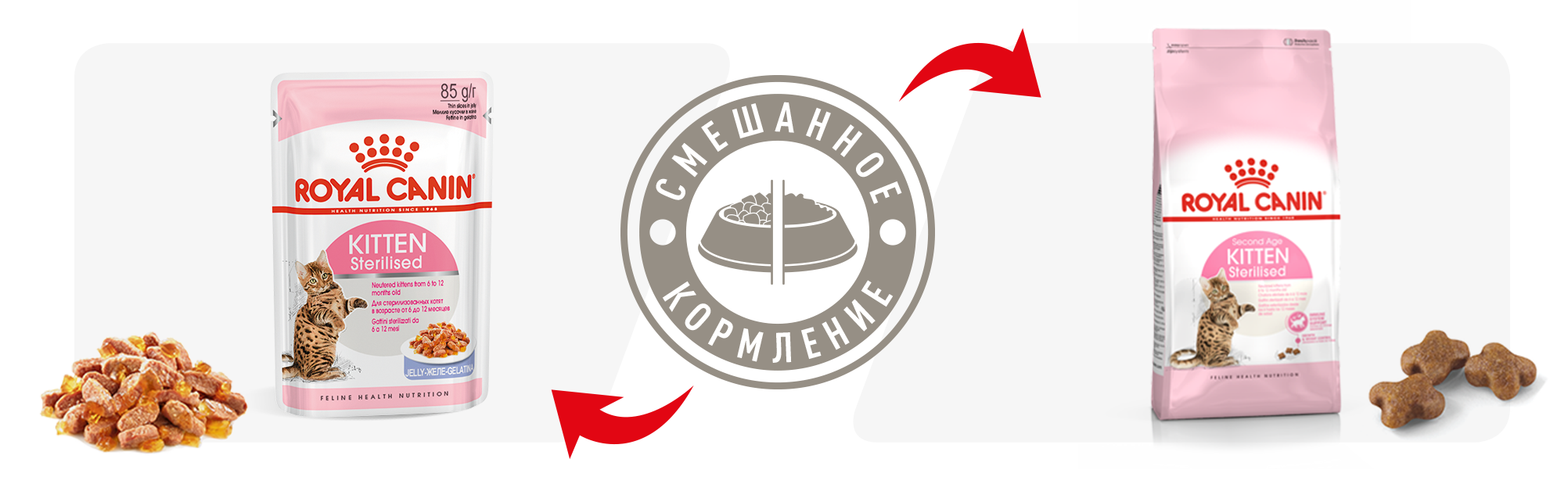 Рекомендации по кормлению