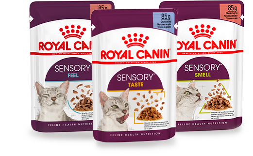 Изображение мини корма Royal Canin