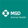 MSD Animal Health