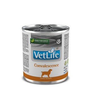 Farmina VetLife Dog Convalescence консервы 300г для собак диета в период выздоровления