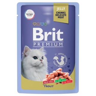 УЦЕНКА Brit Premium пауч 85г для кошек форель в желе