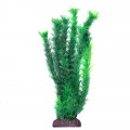 Растение пластмассовое Амбулия 300мм зеленая (пакет) 1065LD Laguna